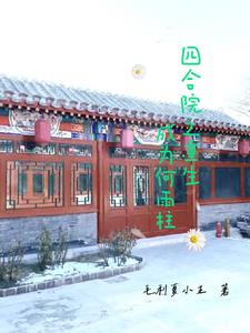 四合院之重生成为何雨柱小说