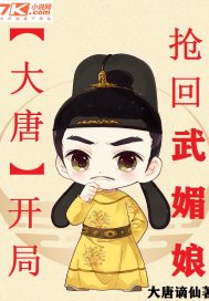 大唐开局娶了武媚娘书海阁